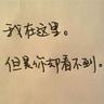 关于养宠物的知识